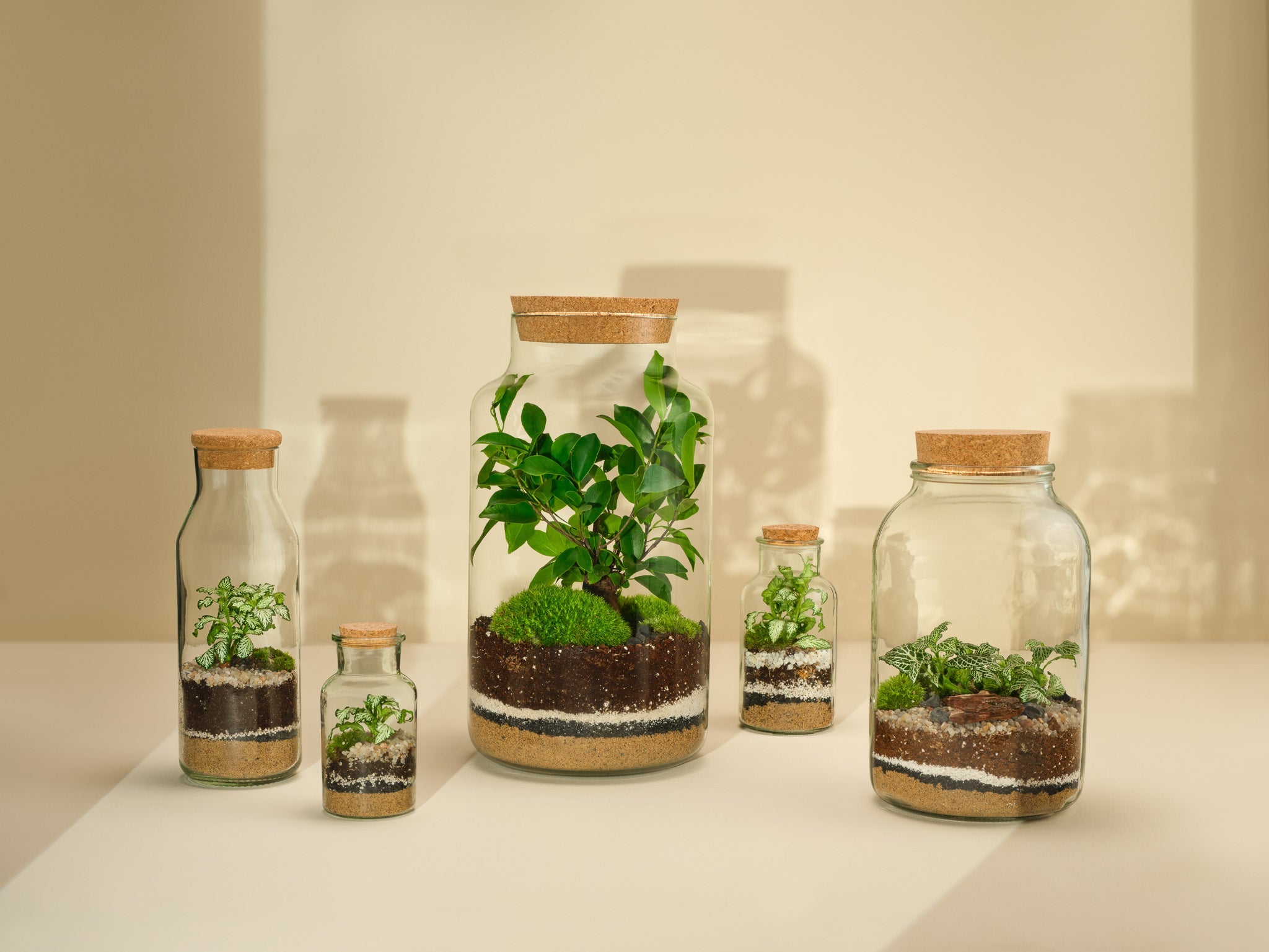 Terrariums