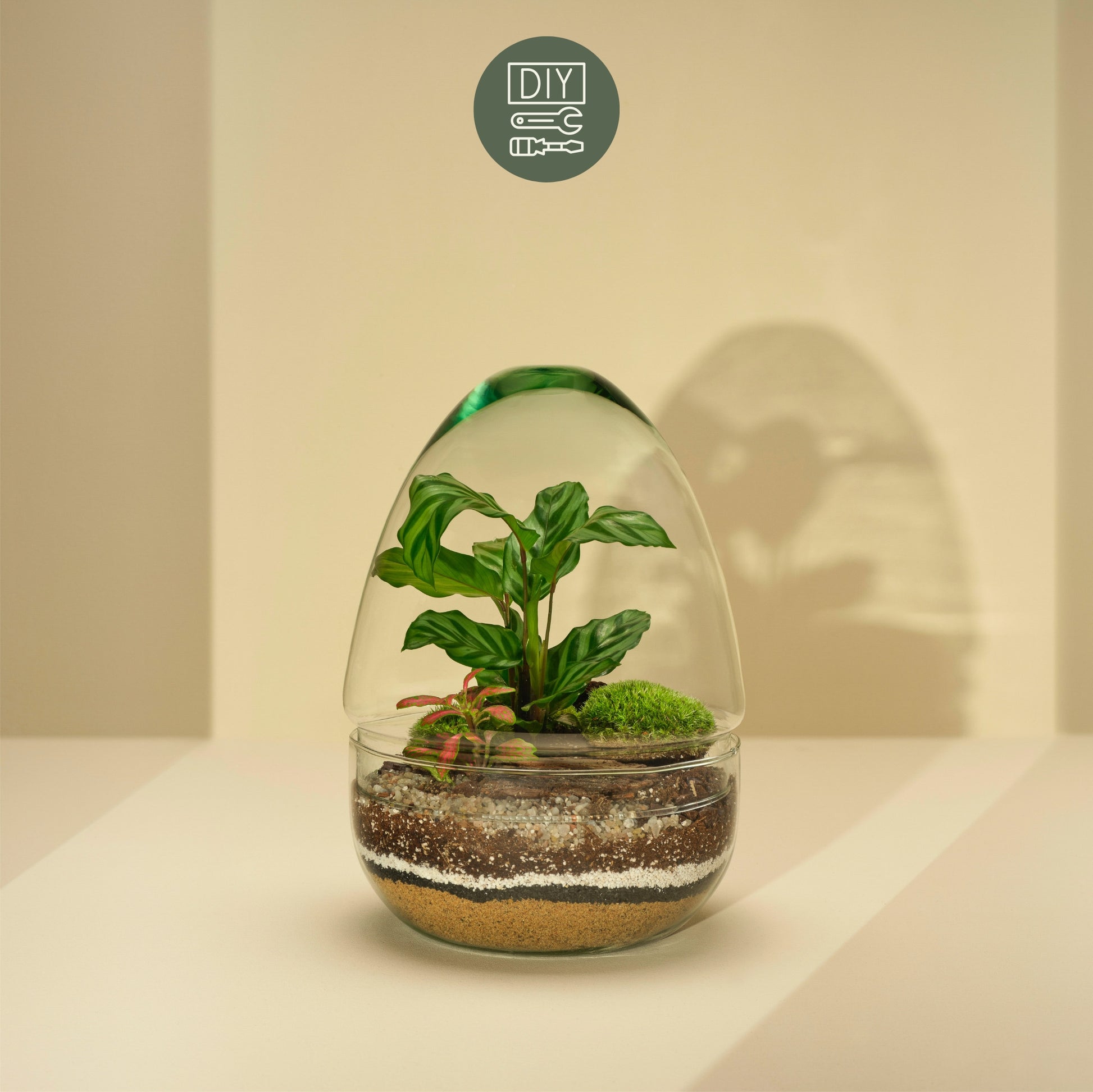 DIY Terrarium Set - Jordan