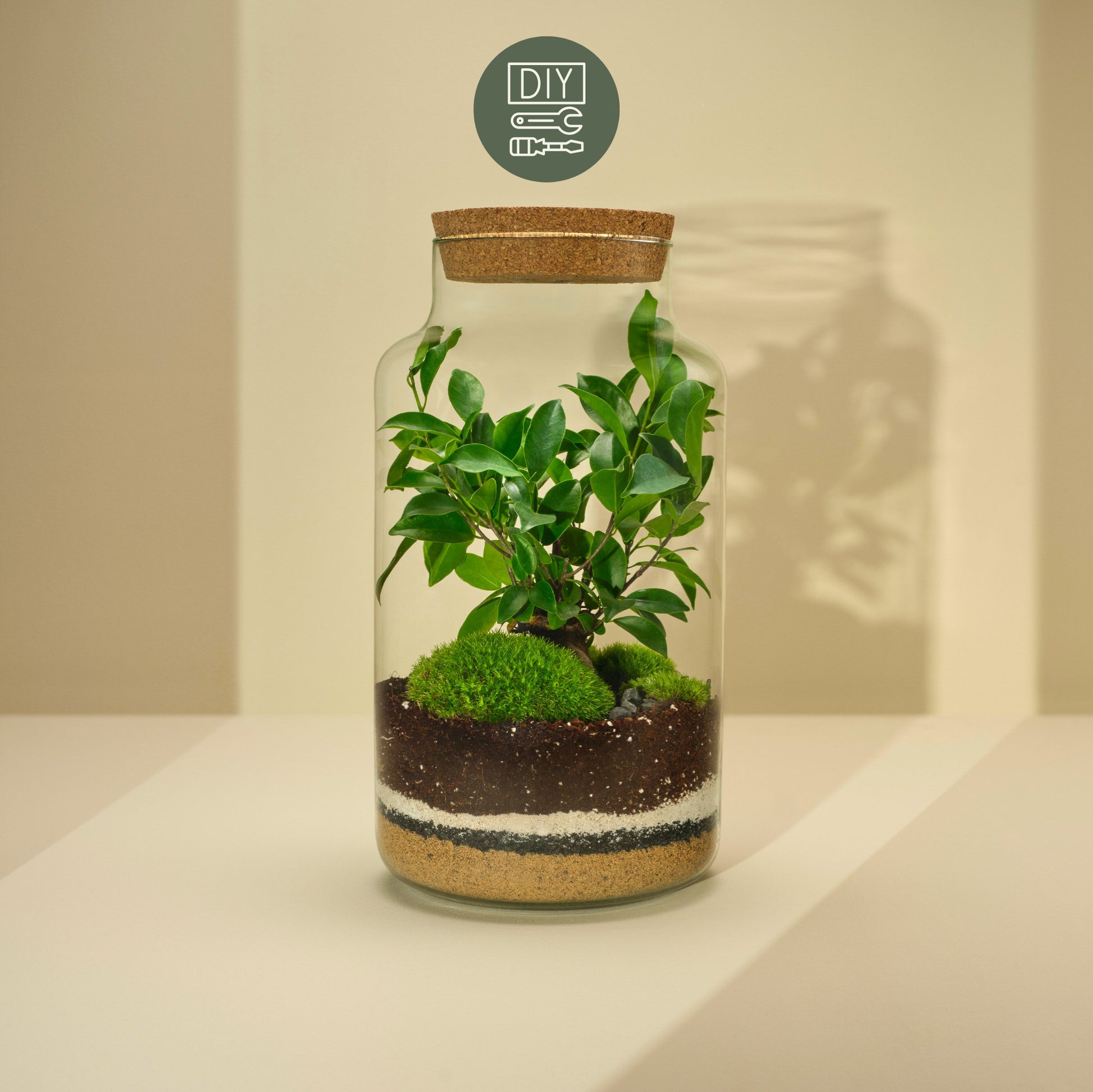 DIY Terrarium Set - Tadeas Large