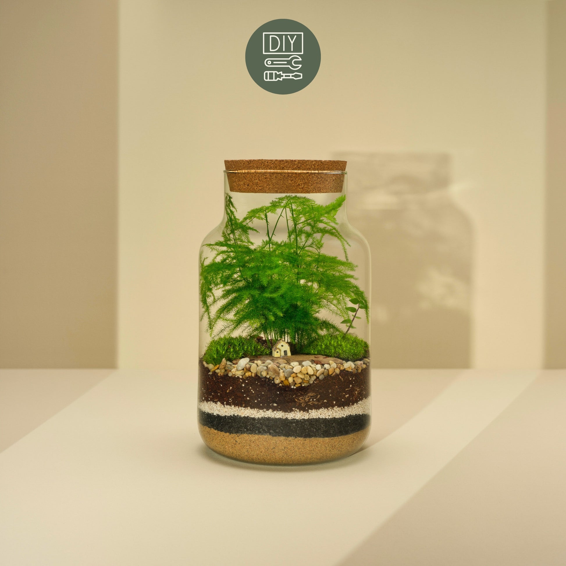 DIY Terrarium Set - Tadeas Medium