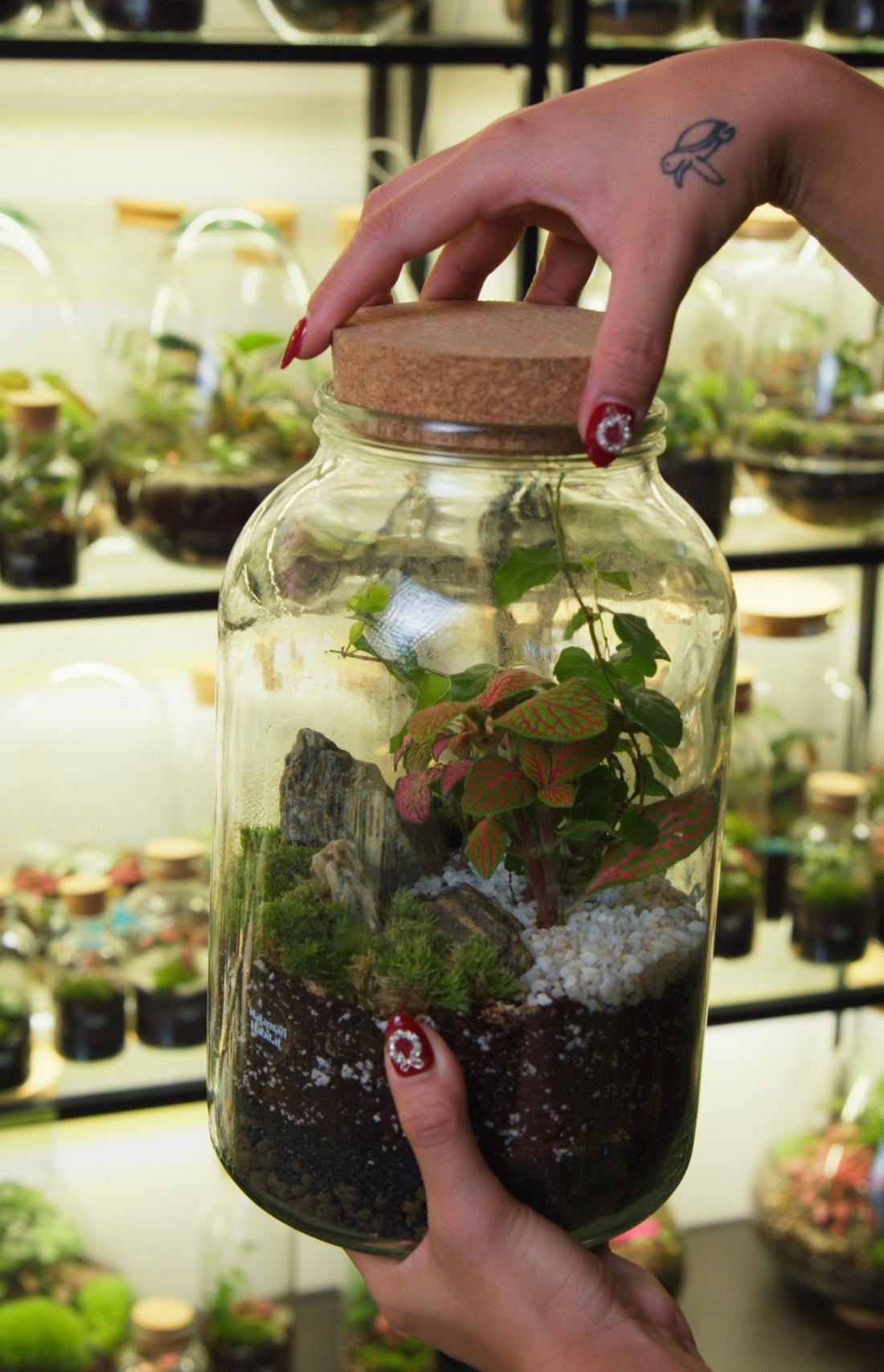 Troubleshooting Your Terrarium: Common Problems & How to Fix Them