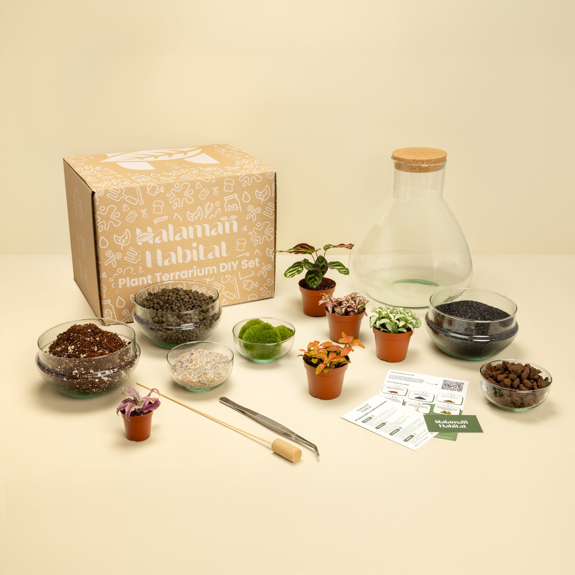 DIY Terrarium Set - Tomas Large