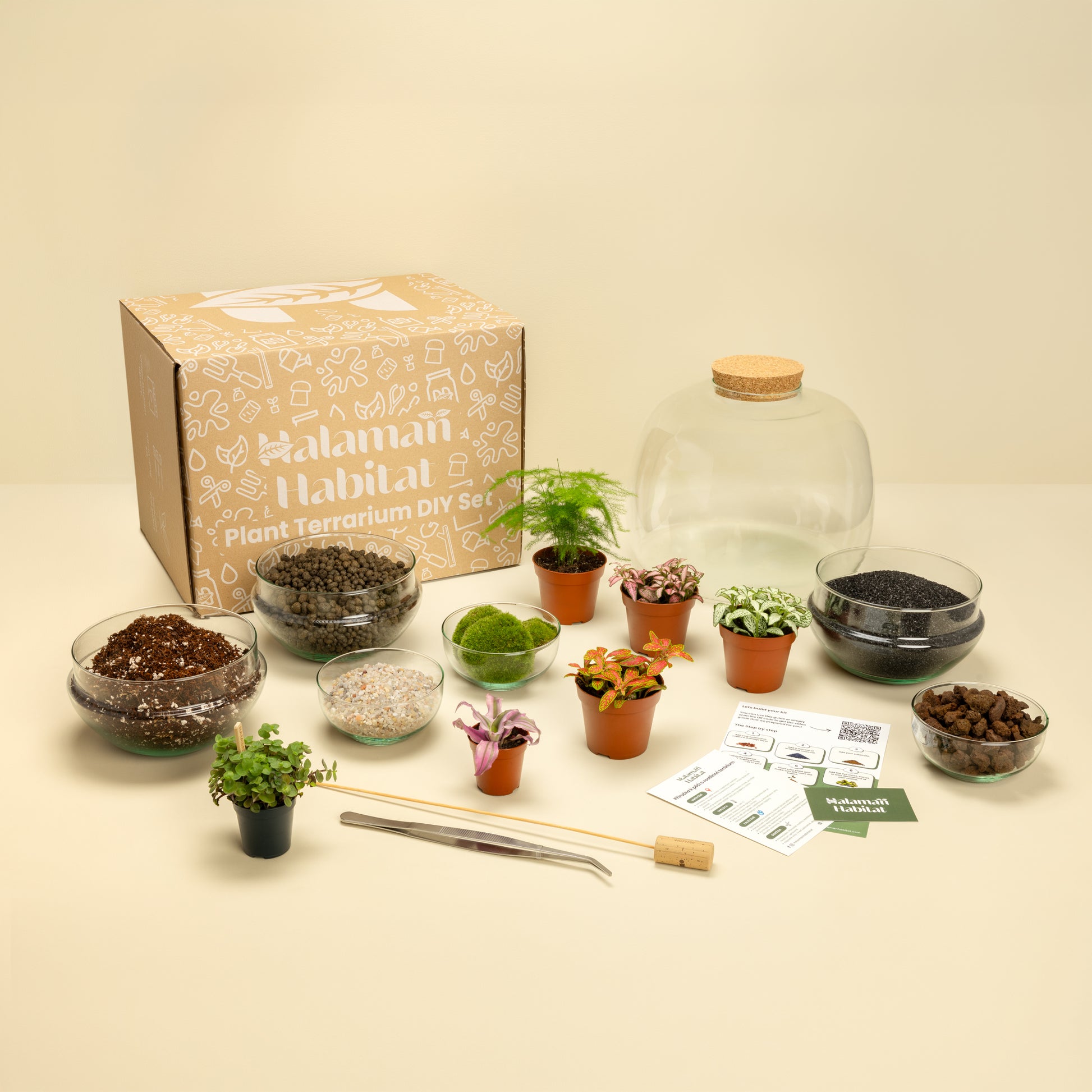DIY Terrarium Set - Dasha