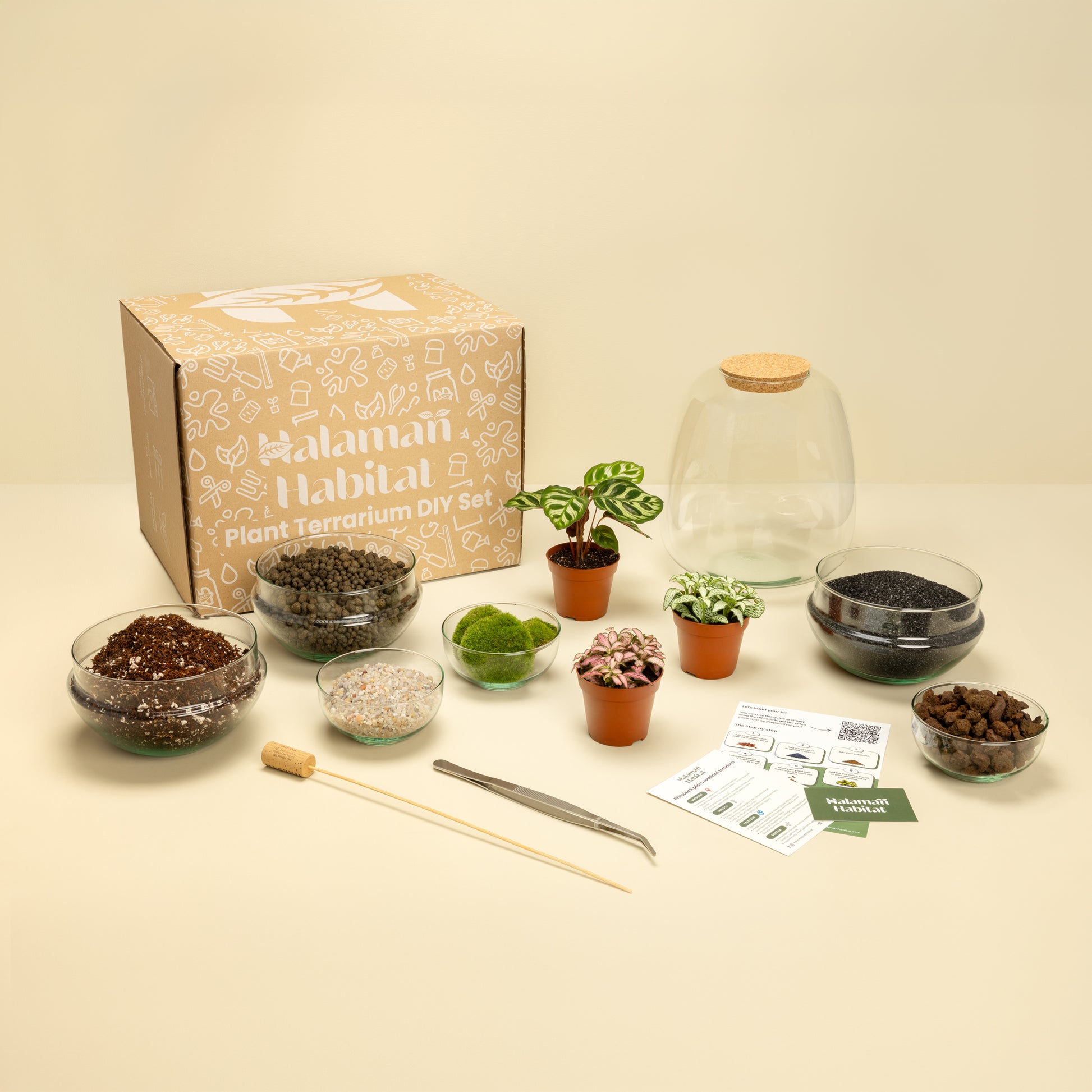 DIY Terrarium Set - Rose