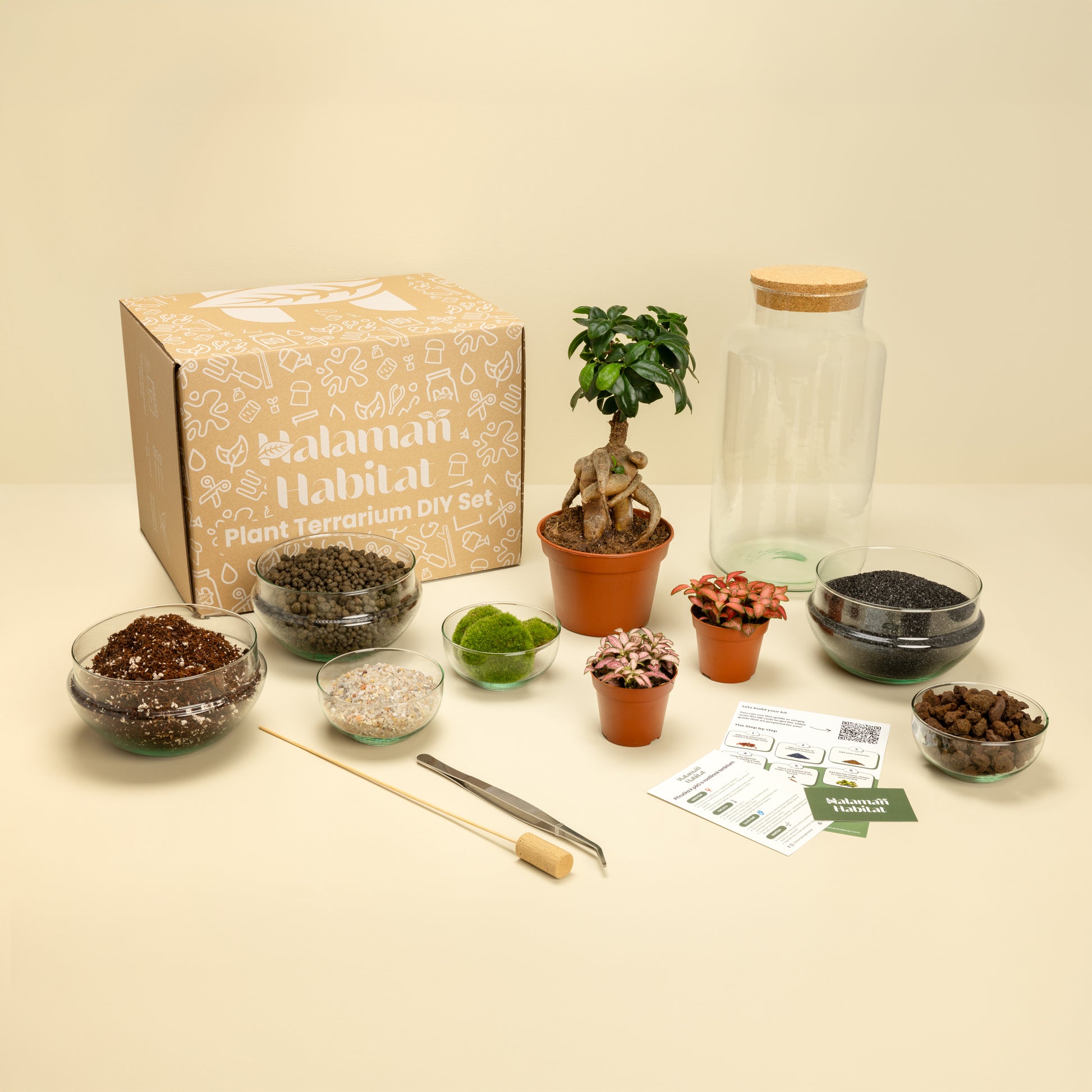 DIY Terrarium Set - Tadeas Large