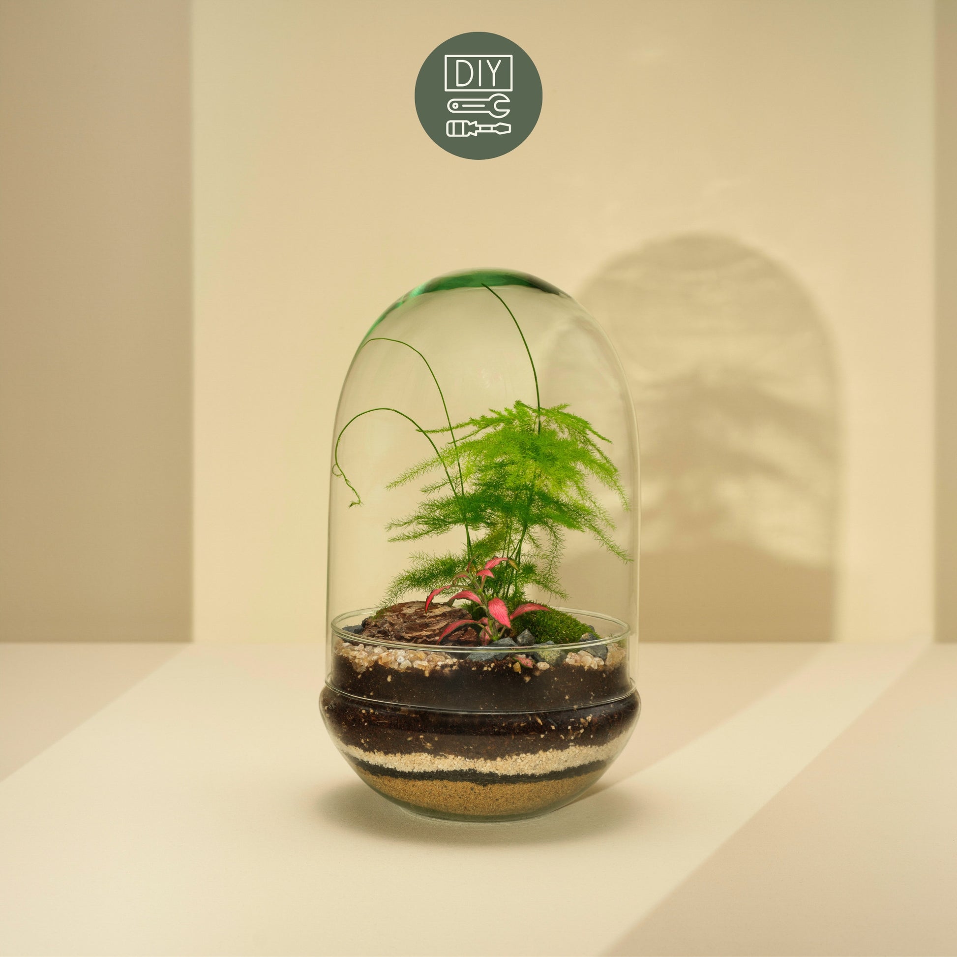 DIY Terrarium Set - Adam