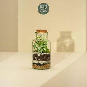 DIY Terrarium Set - Anne