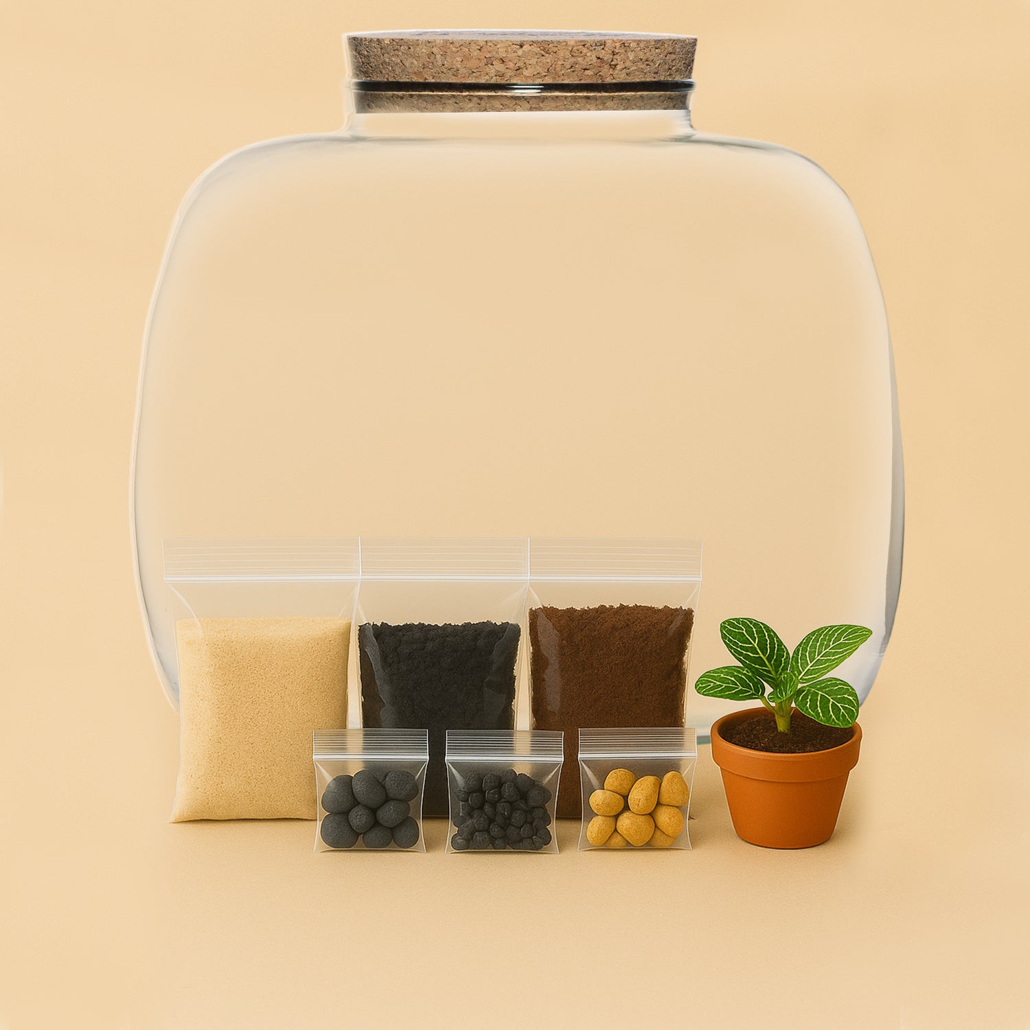 DIY Terrarium Set - Dasha