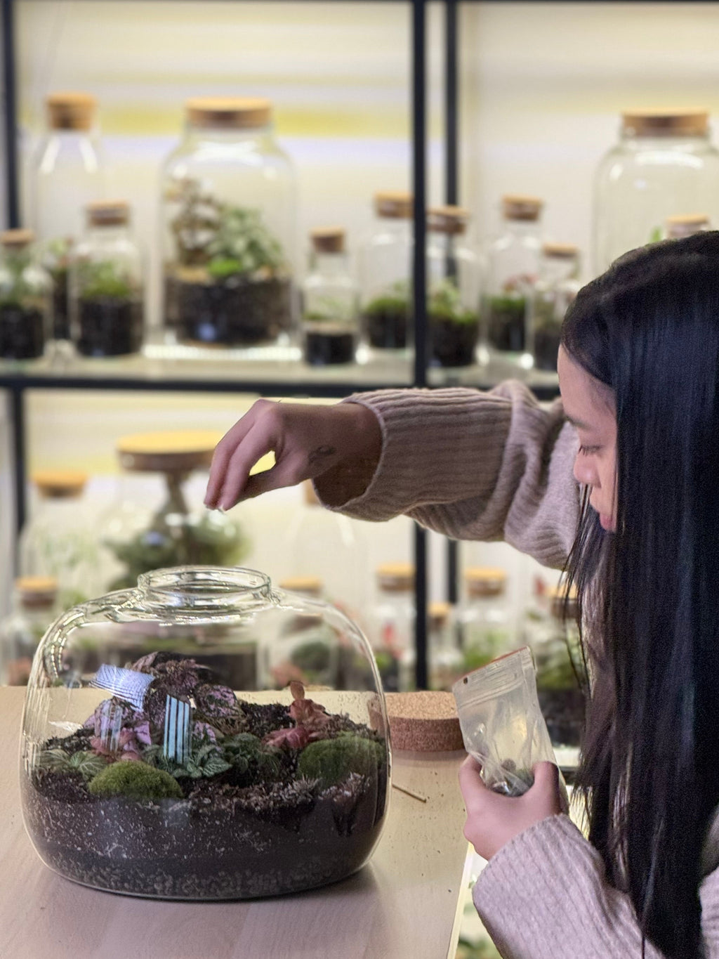 DIY Terrarium Set - Dasha