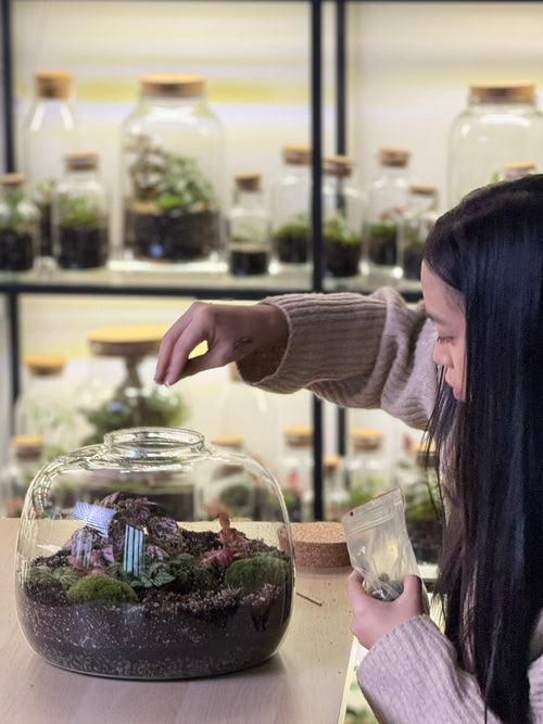 DIY Terrarium Set - Dasha