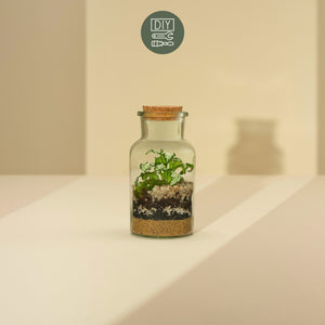 DIY Terrarium Set - Kyla
