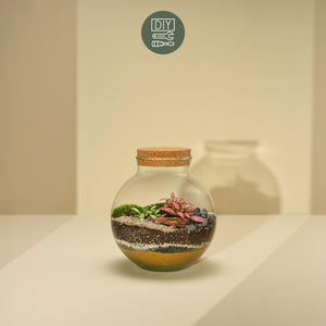 DIY Terrarium Set - Mauricio