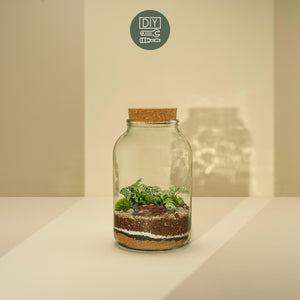 DIY Terrarium Set - Nenita