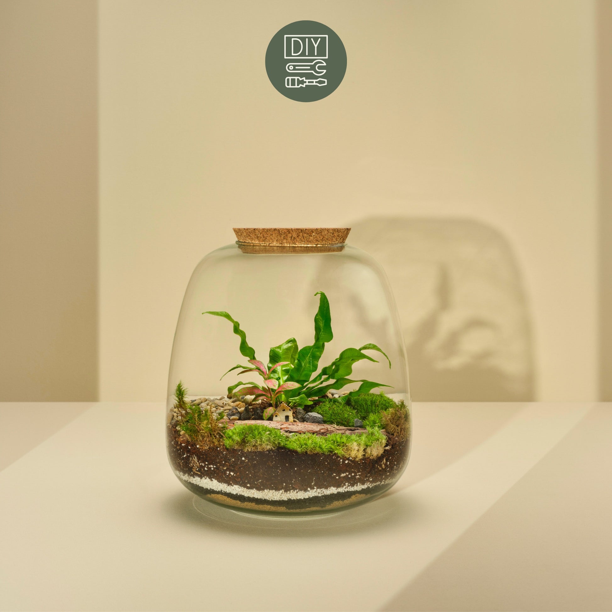 DIY Terrarium Set - Rose