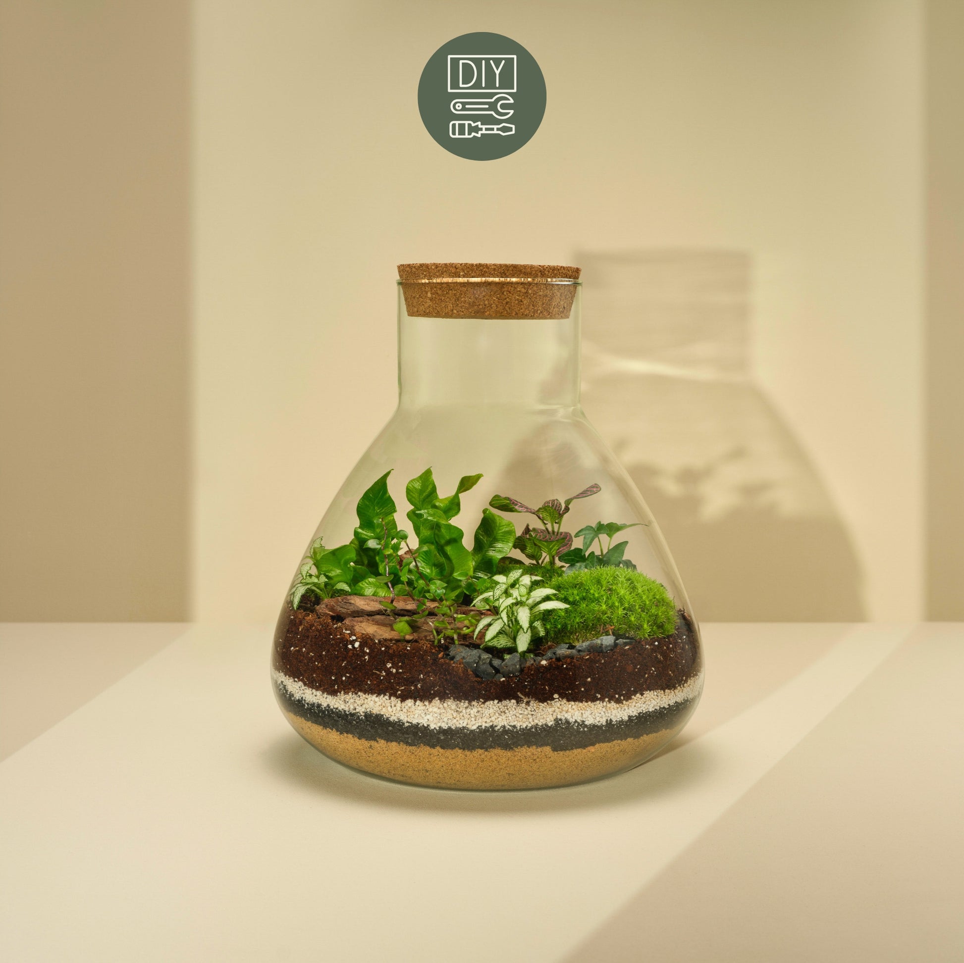 DIY Terrarium Set - Tomas Large