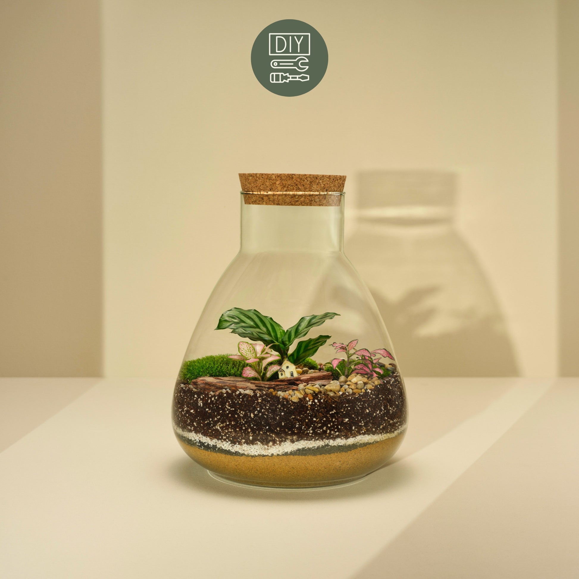 DIY Terrarium Set - Tomas Medium