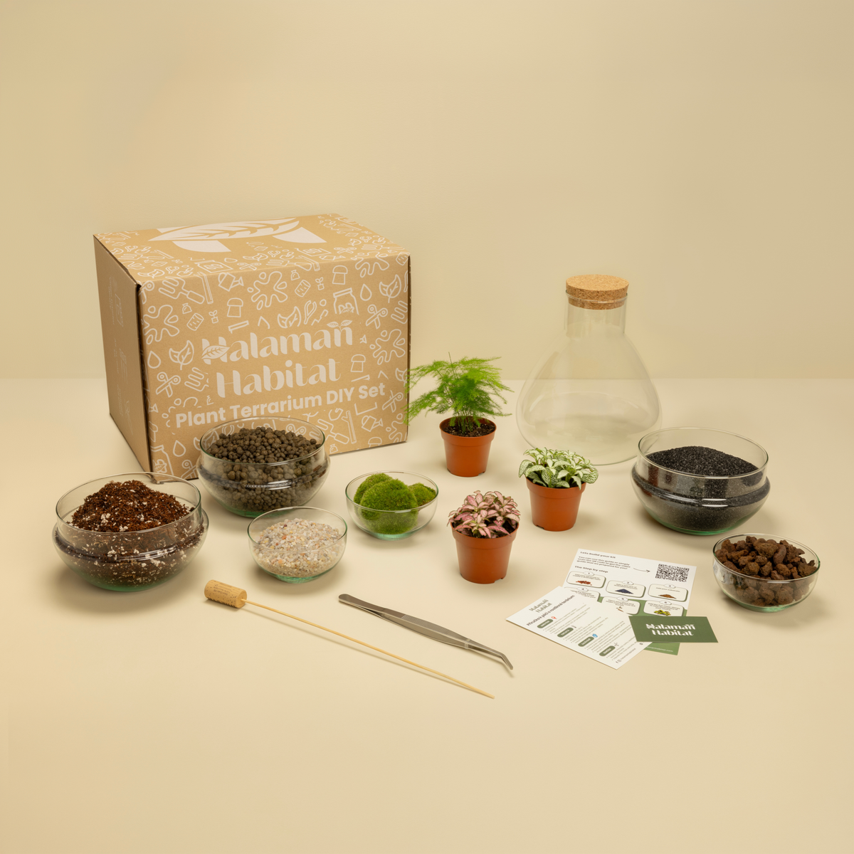 DIY Terrarium Set - Tomas Medium
