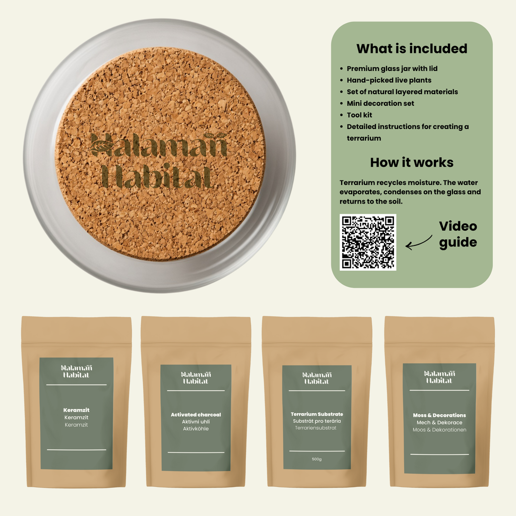 DIY Terrarium Set - Mauricio